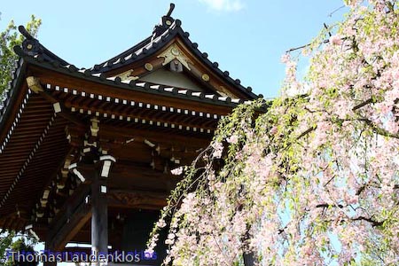 EKOHaus_Thomas_Laudenklos_20_