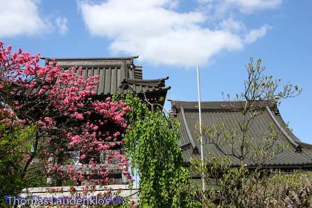 EKOHaus_Thomas_Laudenklos_31_