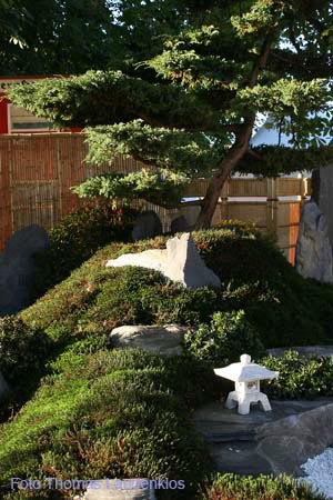Japan_Garten_6_