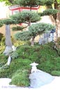 Japan_Garten
