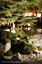 Japan_Garten_15_