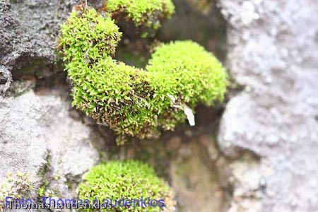 Makro_Thomas_Laudenklos_18_