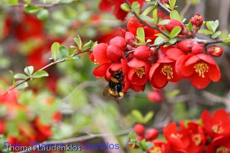 Makro_Thomas_Laudenklos_20_