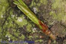 Makro_Thomas_Laudenklos_10_