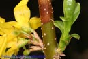 Makro_Thomas_Laudenklos_11_