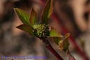 Makro_Thomas_Laudenklos_14_