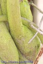Makro_Thomas_Laudenklos_17_