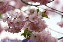 Makro_Thomas_Laudenklos_19_