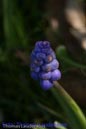 Makro_Thomas_Laudenklos_2_