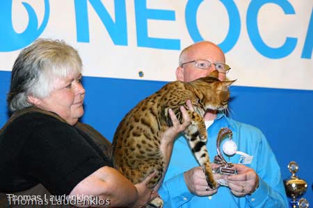 NEOCAT_Nijmegen_Thomas_L_14_