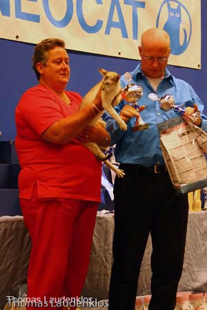 NEOCAT_Nijmegen_Thomas_L_33_