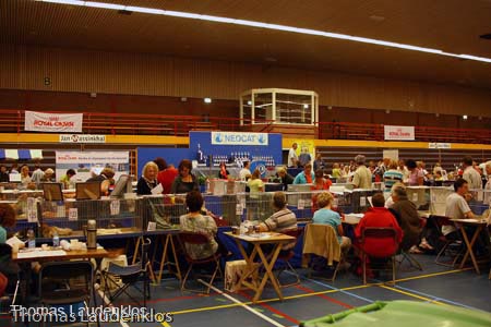 NEOCAT_Nijmegen_Thomas_L_6_