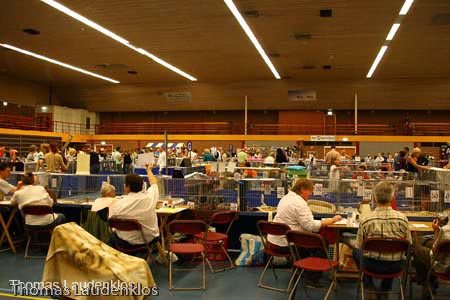 NEOCAT_Nijmegen_Thomas_L_7_