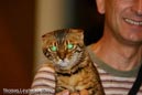 NEOCAT_Nijmegen_Thomas_L_12_