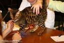 NEOCAT_Nijmegen_Thomas_L_15_