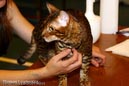 NEOCAT_Nijmegen_Thomas_L_18_