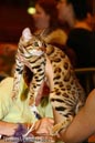 NEOCAT_Nijmegen_Thomas_L_26_