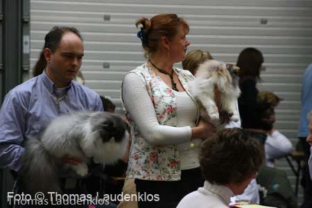 NEOCAT_Utrecht_Thomas_L_18_