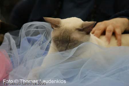 NEOCAT_Utrecht_Thomas_L_20_