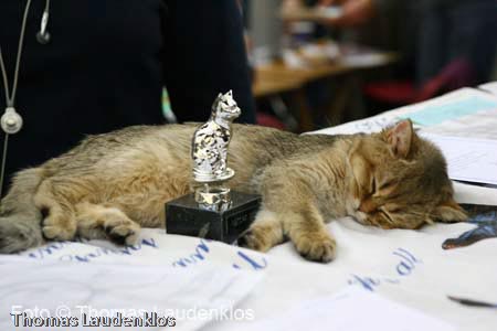 NEOCAT_Utrecht_Thomas_L_23_