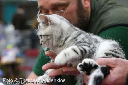 NEOCAT_Utrecht_Thomas_L_28_