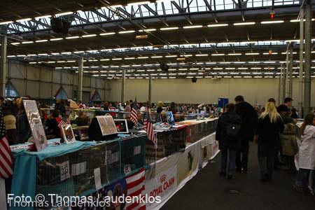 NEOCAT_Utrecht_Thomas_L_31_