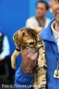 NEOCAT_Utrecht_Thomas_L_17_