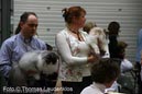 NEOCAT_Utrecht_Thomas_L_18_