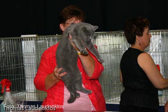 TICA_2006_Thomas_L_3_