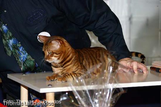 TICA_2006_Thomas_L_7_