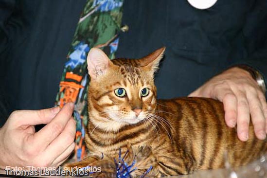 TICA_2006_Thomas_L_9_